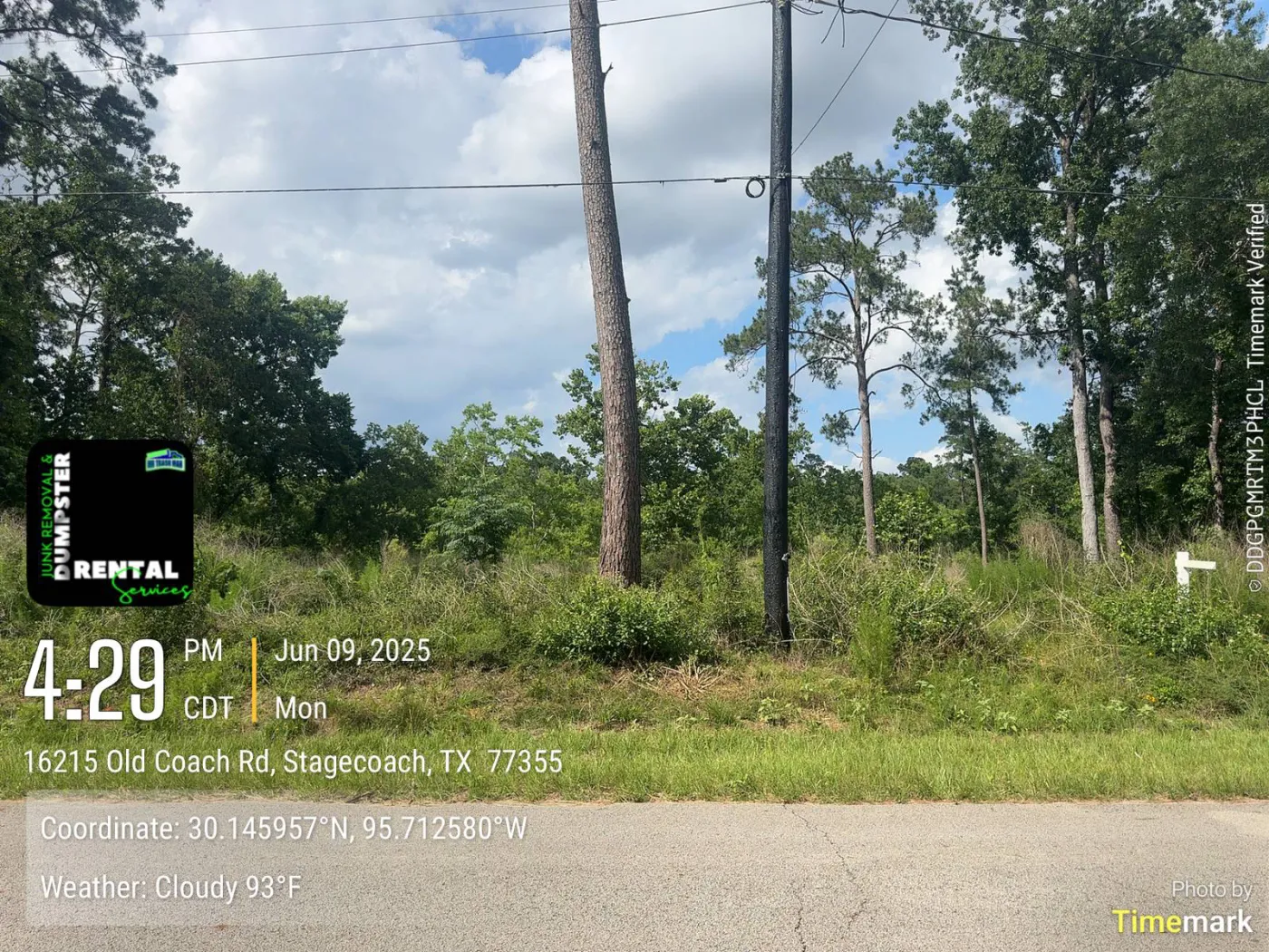 Overgrown lot before land clearing in Porter, TX