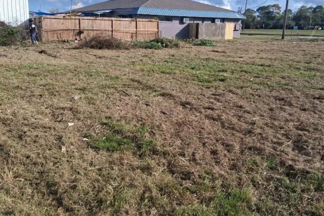 Cleared brush and open ground after underbrush removal in Montgomery County Texas