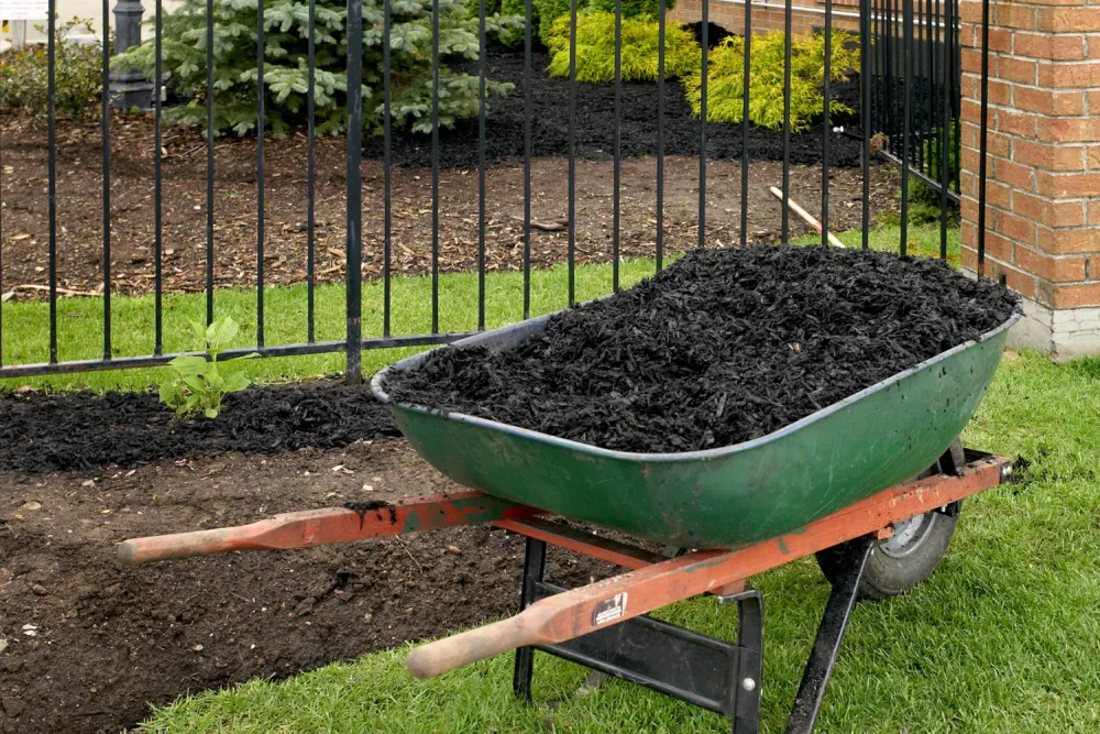 Clean, reclaimed fence line after mulching in Montgomery County