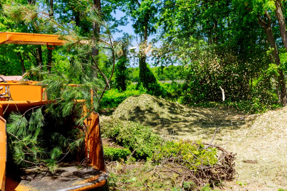 Land cleared by forestry mulching with a natural mulch finish in Montgomery County