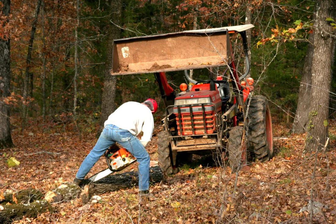 Tree removal work in a wooded lot