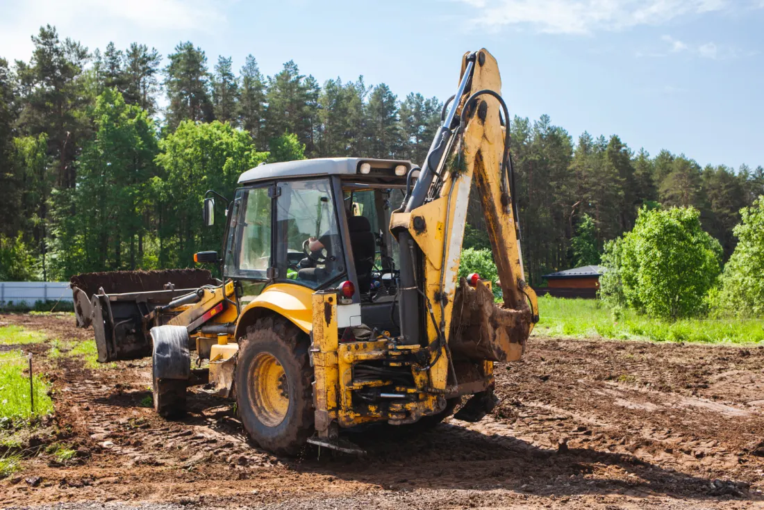 Brush clearing and mulching results