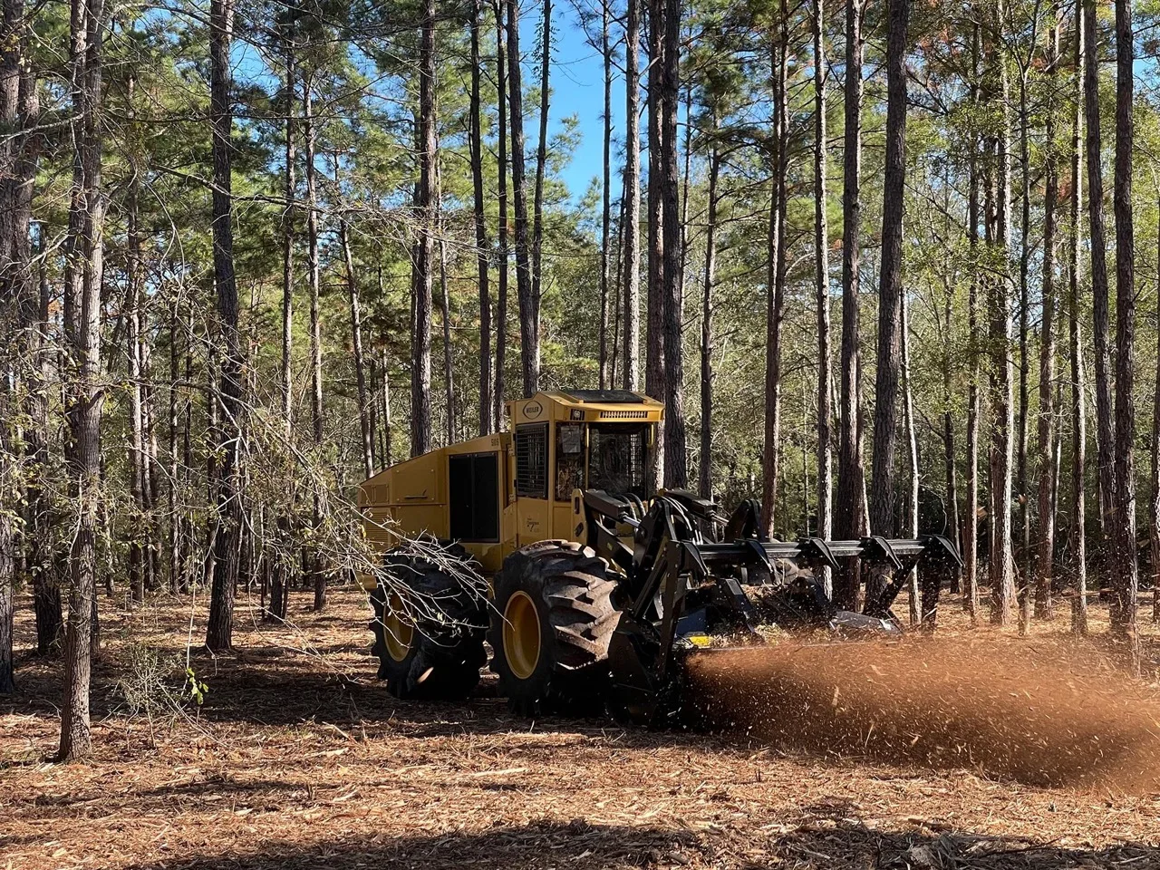 Forestry mulcher clearing a wooded acre in the Texas Piney Woods