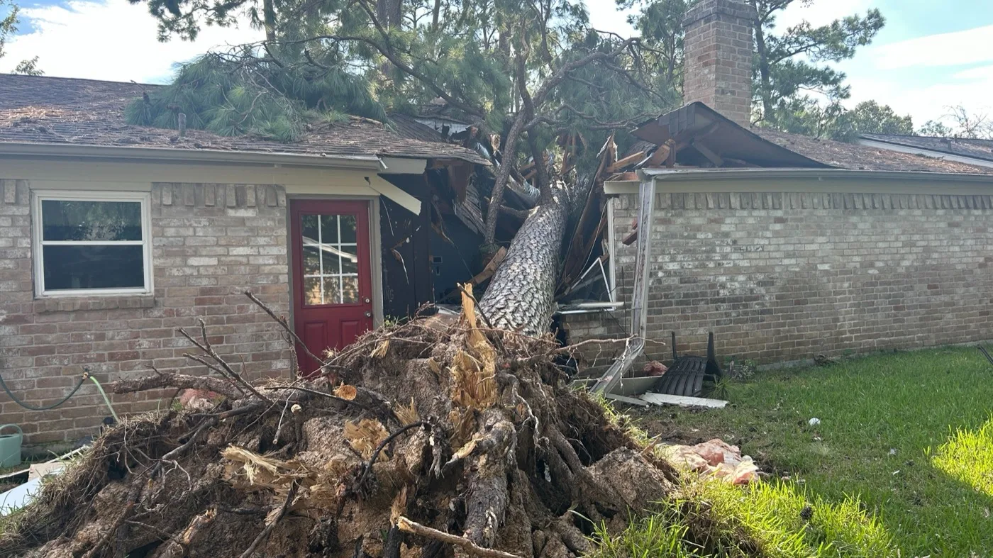 Uprooted pine tree fallen through the roof of a brick ranch house after a storm