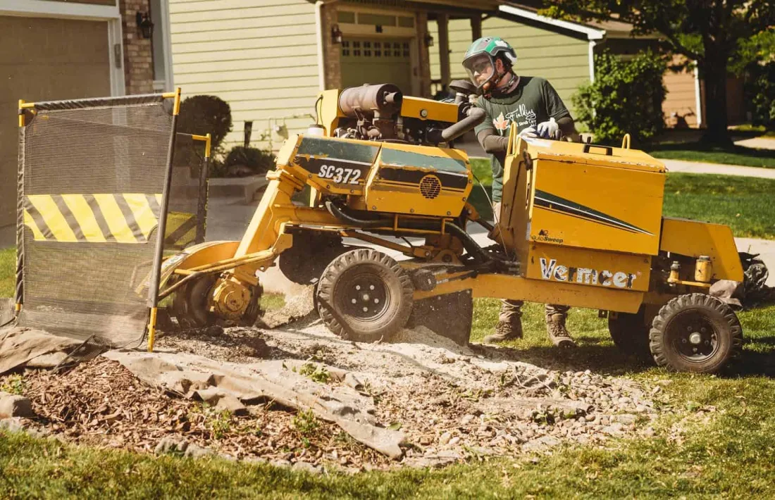 Stump grinder grinding a tree stump below grade in Spring, TX