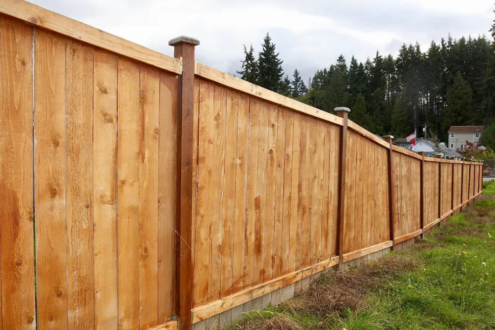 Fence Line Mulching in Spring, TX